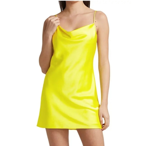 Alice + Olivia Dresses & Skirts - Alice + Olivia Harmony Mini in Sunflower